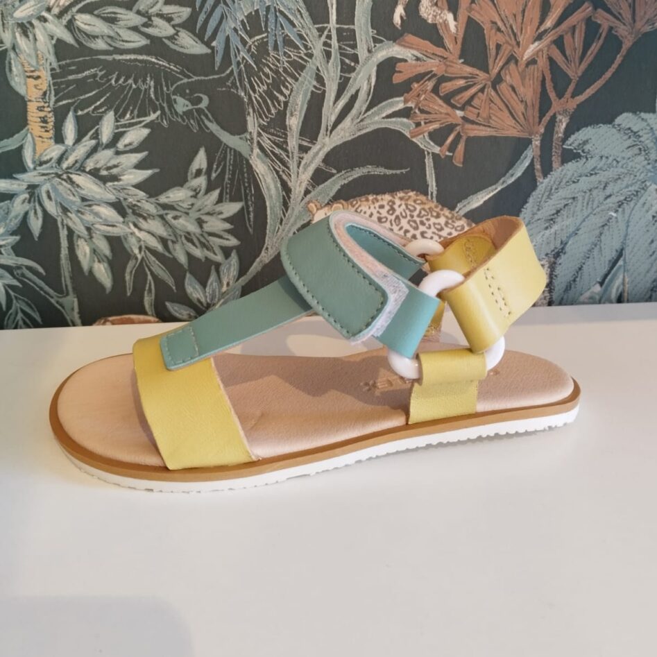 15283 AMARILLO COQUEFLEX
